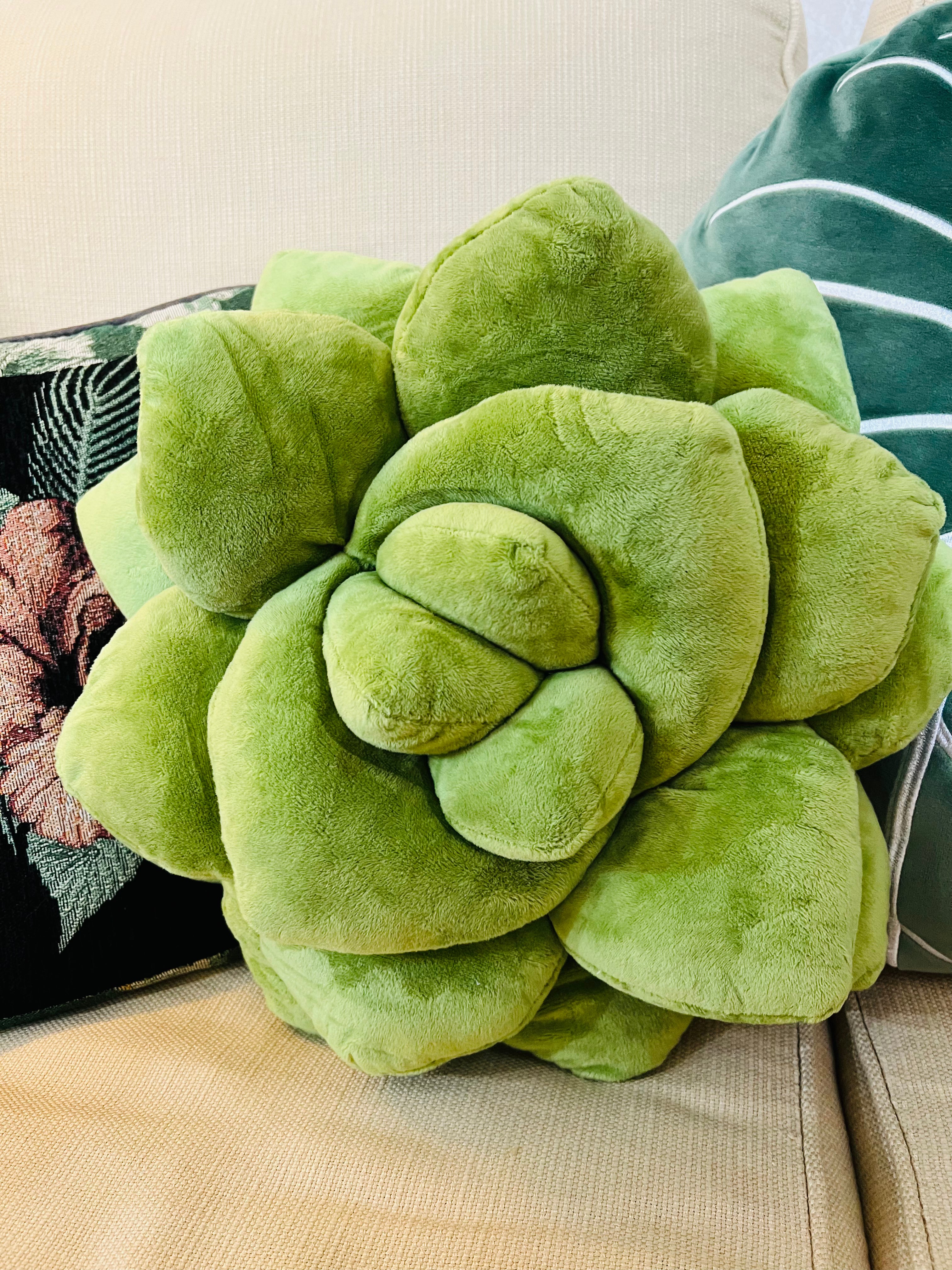 Succulent Plush Pillow  The Banyan Tree Garden & Boutique