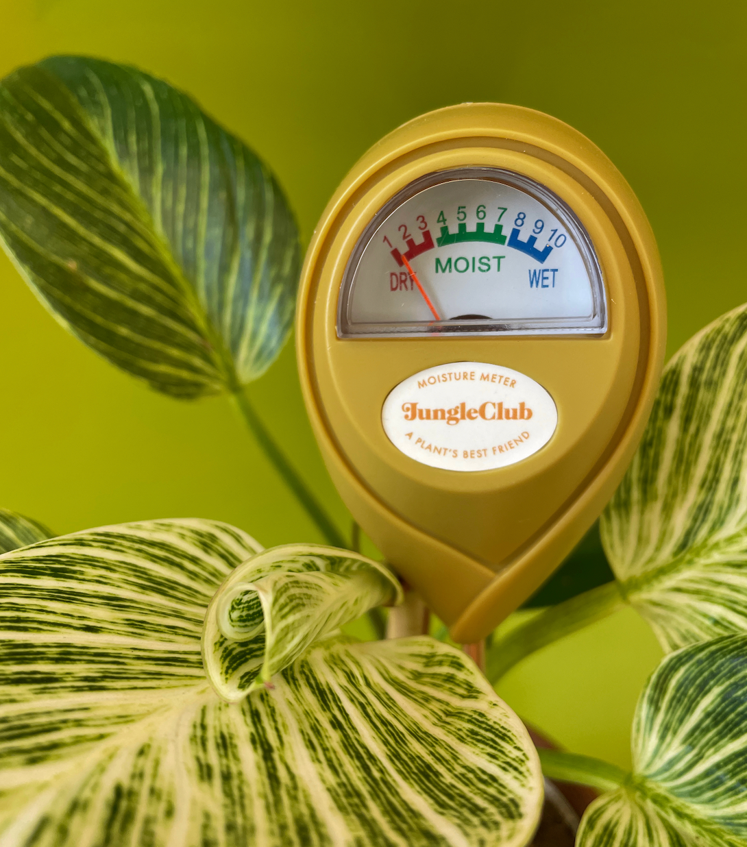 moisture meter money tree Moisture Meter Green – The Banyan Tree Garden & Boutique
