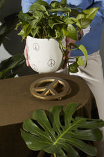 Peace Plant Trivet