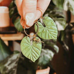 Philodendron Clay Earrings