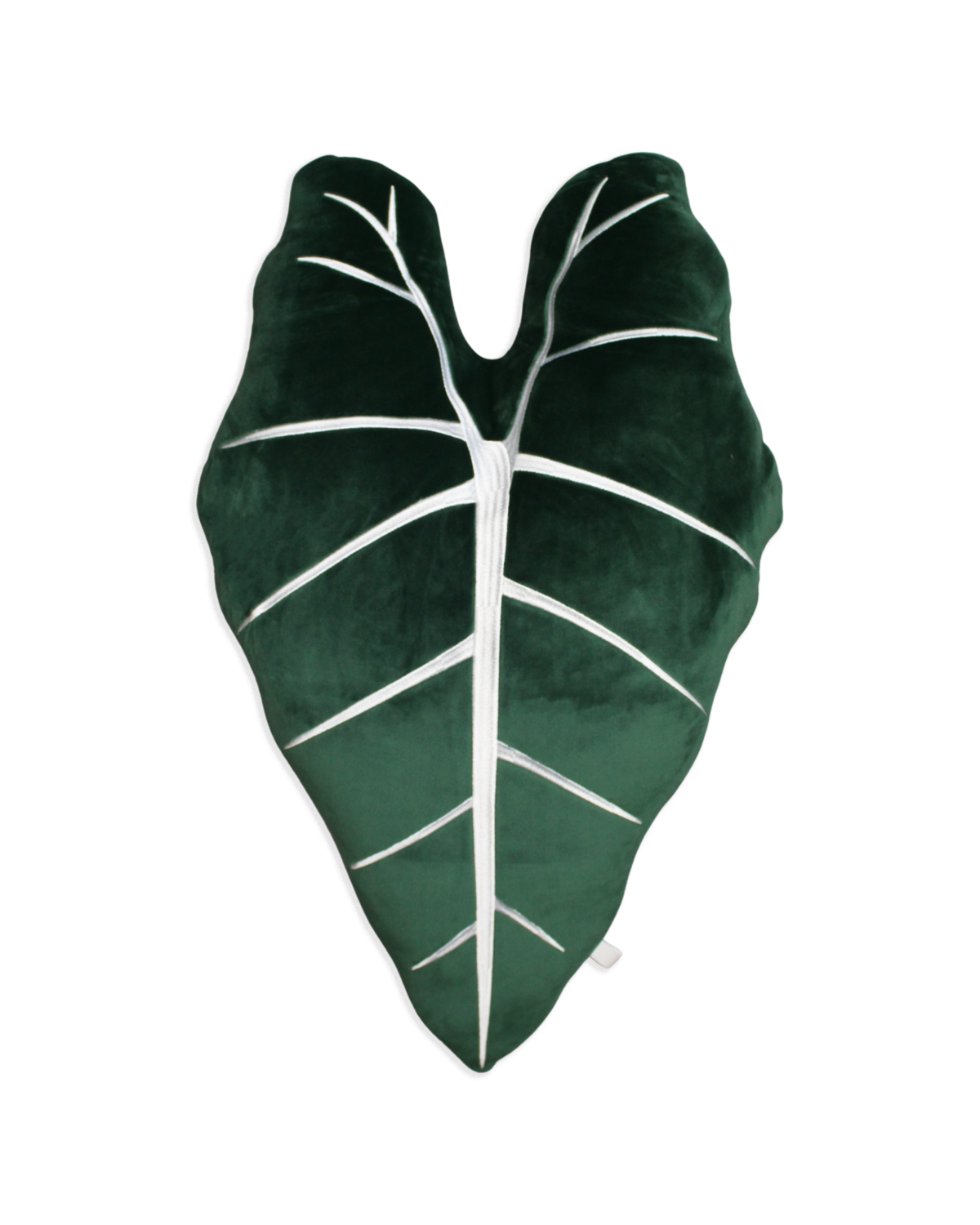 Alocasia Frydek Plush Pillow