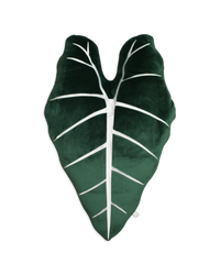 Alocasia Frydek Plush Pillow