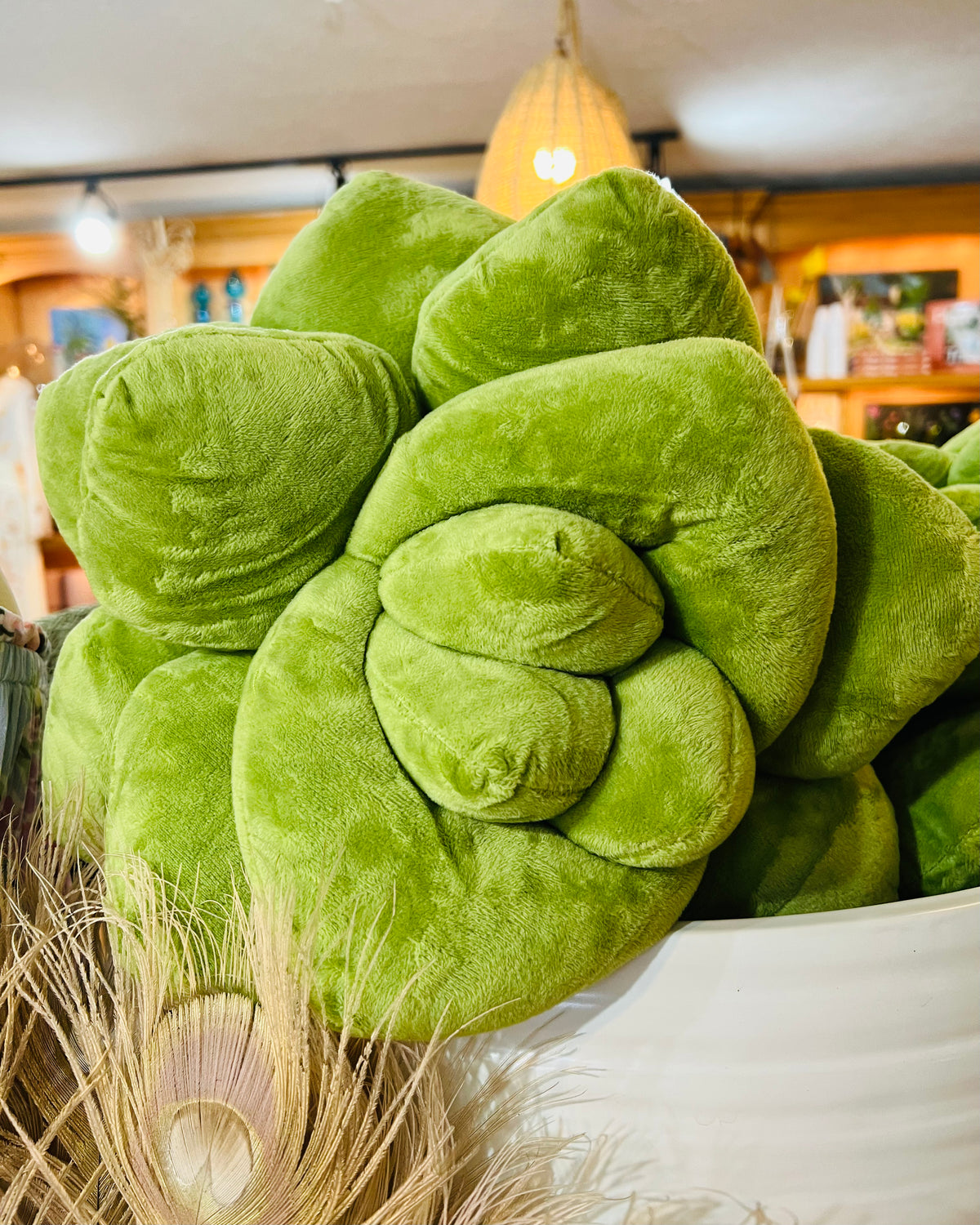 succulent plush pillow Succulent Plush Pillow