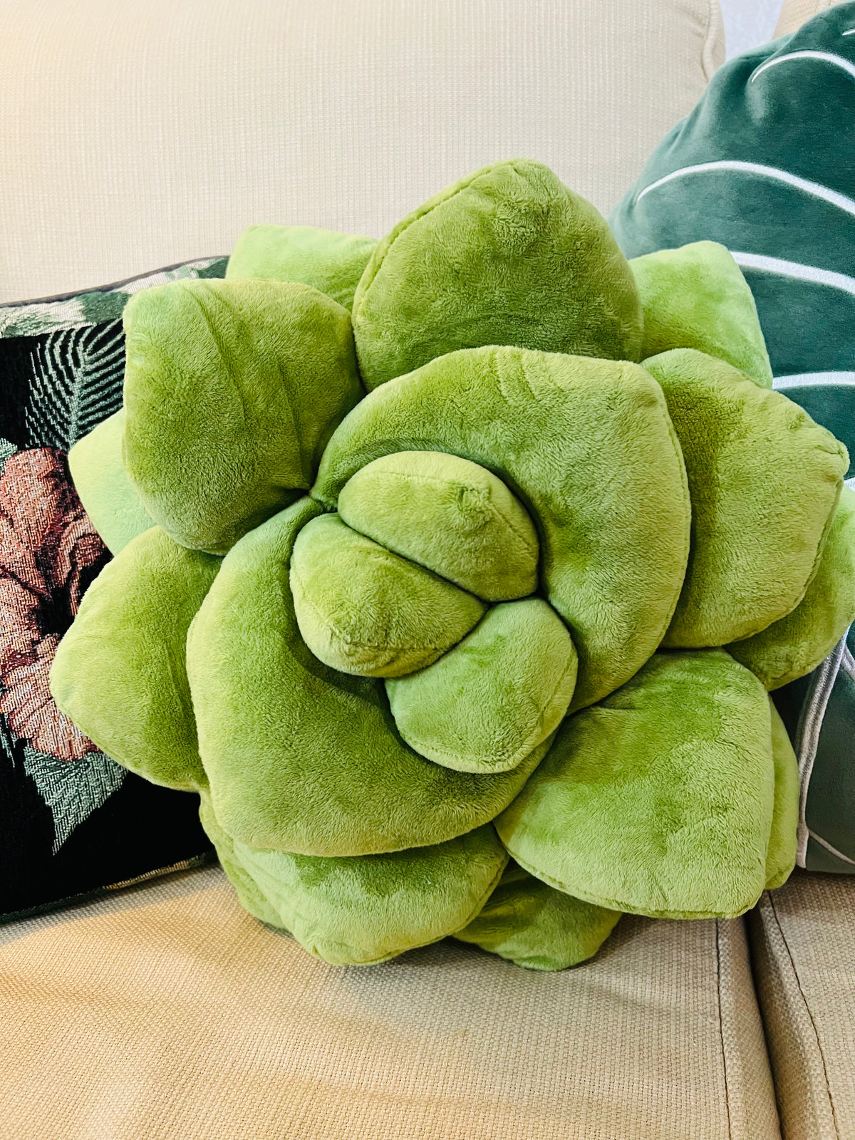 plush succulent Succulent Plush Pillow – The Banyan Tree Garden & Boutique